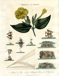 Mirabilis und Fata Morgana von John Pass