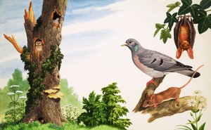 Der tote Baum