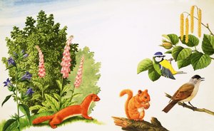 Der Haselbaum