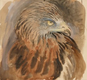 Der Kopf eines Kites, aus dem Leben, 30. August - 1. September 1870