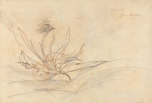 Das felsige Ufer eines Flusses von John Ruskin