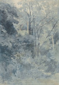Im Rokeby Park von John Sell Cotman