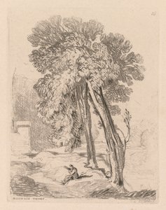 Liber Studiorum: Platte 18, Bäume in Norwich Thorp, Norfolk, 1838