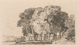 Liber Studiorum: Tafel 3, Bäume bei Twickenham von John Sell Cotman