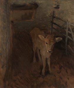 Ein Jersey-Kalb von John Singer Sargent
