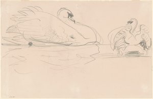 Schwäne im Wasser von John Singer Sargent