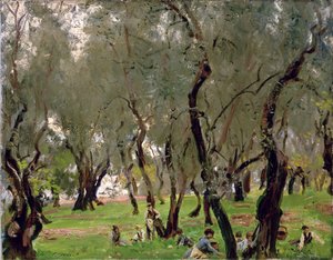 Der Olivenhain, ca. 1910