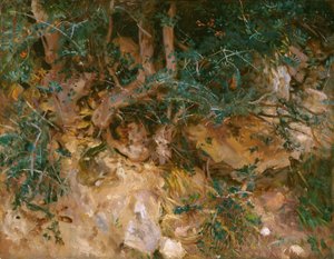 Valdemosa, Mallorca: Disteln und Kräuter an einem Hang