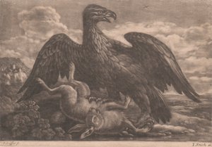 Adler und Hase