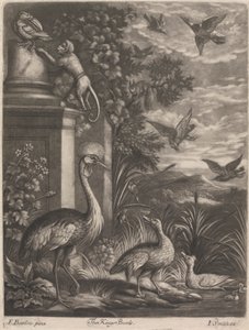 Die Vögel des Königs von John Smith
