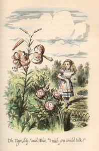 Alice im Wunderland & Durch den Spiegel, von Lewis Carroll, illustriert von John Tenniel von John Tenniel