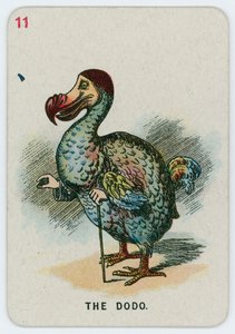Der Dodo von John Tenniel
