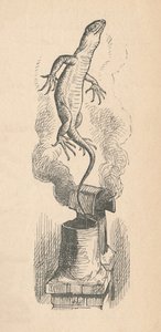 Die Eidechse, 1889