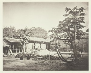 Eine Pepohoan-Wohnung von John Thomson