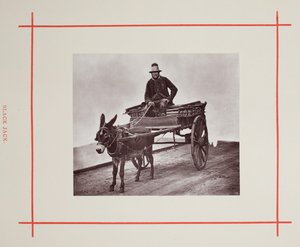 Black Jack, 1877 von John Thomson