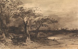 Fluss, Bäume und ferne Stadt