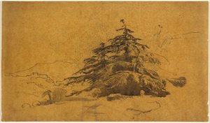 Studie von Bäumen in einer Landschaft