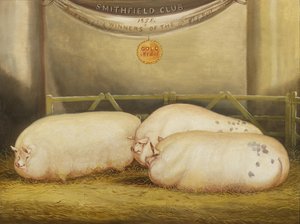 Drei verbesserte Leicesters in einem Gehege bei der Smithfield Club Weihnachtsschau 1858