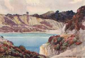 Der blaue Pool von John W.G. Bond