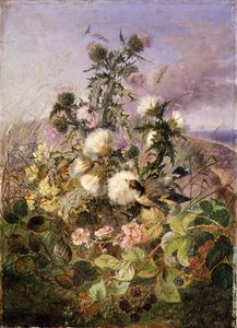 Ein Stieglitz und ein Schmetterling zwischen Disteln und Brombeerblüten