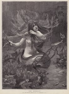 Die Meerjungfrau von John William (after) Waterhouse