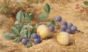 Pflaumen, 1870