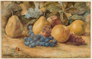 Stillleben mit Obst: Äpfel, Birnen und Trauben auf dem Boden von John William Hill