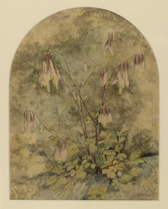 Wildblumen