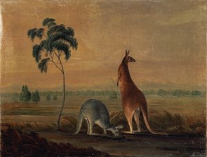 Kängurus in einer Landschaft, um 1819