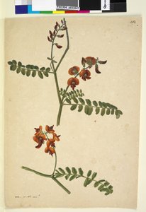 Seite 262. Signiert: I.W.L. 30. Nov. 1805