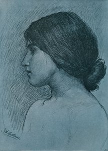 Studie eines Kopfes, um 1899