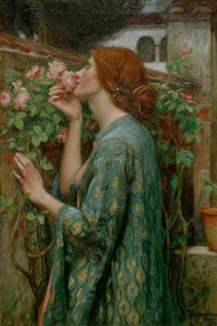 Die Seele der Rose