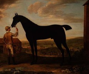 "Basto", dunkelbraunes Rennpferd, das von einem Stallburschen vor dem Stall in Newmarket gehalten wird von John Wootton