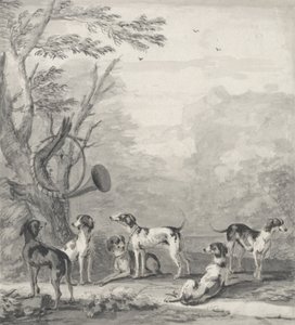 Hunde in einer Landschaft von John Wootton