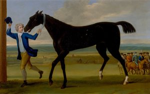 Der Bonny Black des Herzogs von Rutland