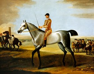 Der berühmte graue Rennpferd Coneyskins des Herzogs von Rutland mit Jockey auf Newmarket Heath