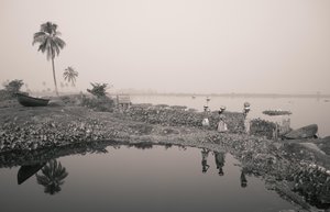 Fischerei im Feuchtgebiet in Kolkata, 2016