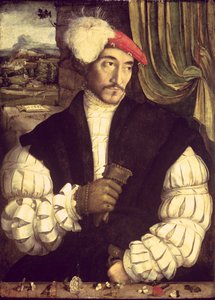 Porträt eines Mannes, 1533