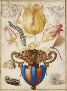 Anordnung von Blumen in einer Vase, mit Insekten von Joris Hoefnagel