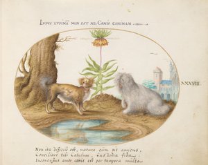 Tafel 38: Zwei kleine Hunde mit einer Kaiserkrone