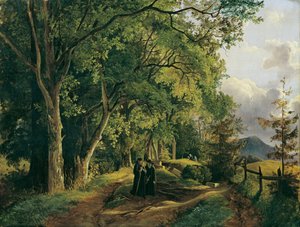 Weg auf den Mariahilfberg bei Gutenstein von Josef Feid