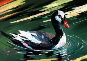 Tiere: Schwarzer Schwan 1