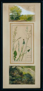 Studien nach der Natur von Josef Wawra