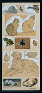 Tierstudien (12 Skizzen) von Josef Wawra