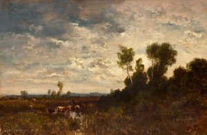 Moorlandschaft