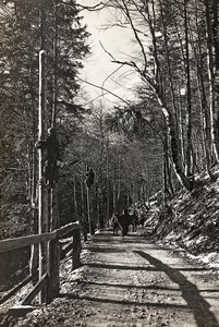 Album "Meine Weltkriegs-Erinnerungen Südwestfront (Kärnten, Italien, Südtirol) 31/03/1915-12/11/1918 - Josef Zohles Wien": Soldaten bei der Arbeit (s/w Foto)