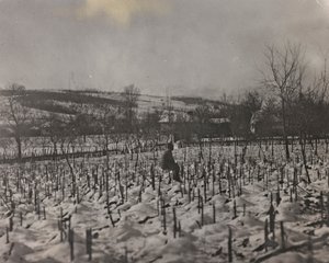 Album "Meine weltkriegs - Erinnerungen Südwestfront (Kärnten, Italien, Südtirol) 31/03/1915-12/11/1918 - Josef Zohles Wien": Militärfriedhof