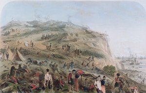 Die Höhen von Alma - Der Tag nach der Schlacht von Joseph Austin Benwell