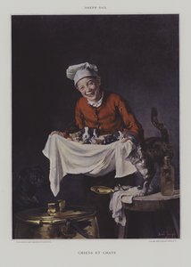 Hunde und Katzen