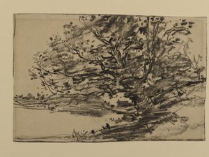Studie von Bäumen, 1870